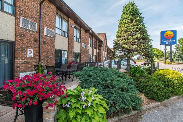 Comfort Inn Sault Ste. Marie Main image